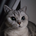 liuwy's avatar