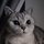 liuwy's avatar
